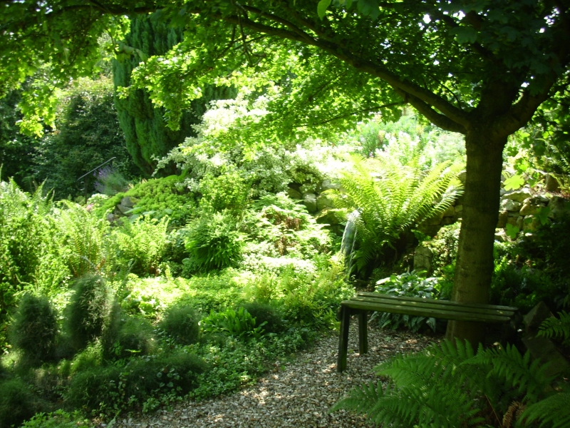 The Fern Nursery and Bowling Club